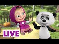 🔴 AO VIVO 👱♀️🐻 Masha e o Urso 🤸‍♂️🥏 Vamos pular, saltar e saltitar! 🏃🤸‍♀️ Masha and the Bear