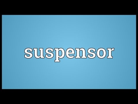 Header of suspensor