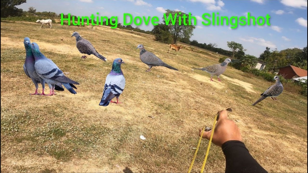 The Slingshot Hunter and the Giant Bird in the Village