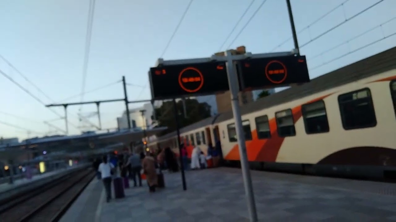 19 أكتوبر 2025