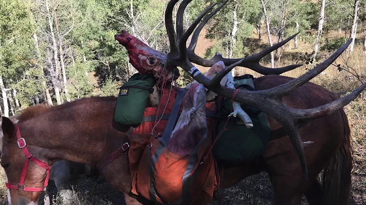 KFS 2015 Wasatch Bull Hunt
