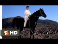 The Black Stallion Returns (1983) - You Are The One Rider Scene (8/12) | Movieclips