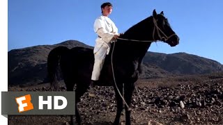 The Black Stallion Returns (1983) - You Are The One Rider Scene (8\/12) | Movieclips