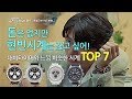 돈은 없지만 현빈 시계는 갖고 싶어! 내비타이머와 느낌 비슷한 시계 TOP 7 - [알함브라 궁전의 추억]