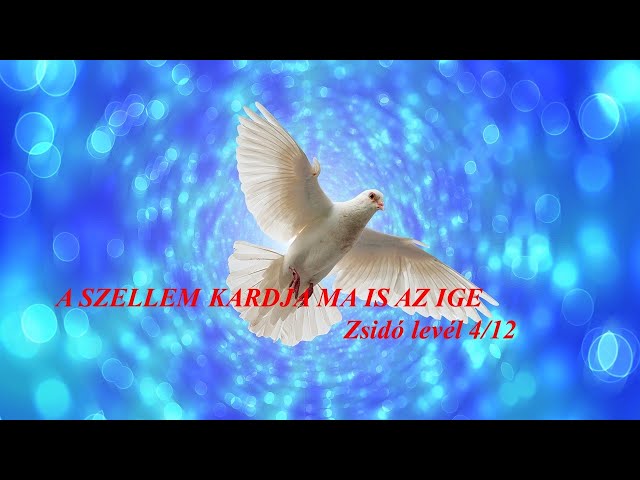 A SZELLEM KARDJA, MA IS AZ IGE