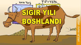 RTdan va'z: Sigir yili boshlandi