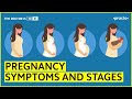 Pregnancy Symptoms and Stages:1st, 2nd and 3rd Trimester || Practo