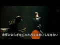 ZARD もっと近くで君の横顔見ていたい~明日を夢見て