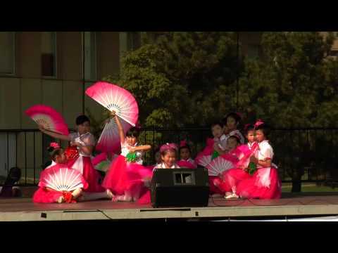 Blooming Orchids - 兰花朵朵