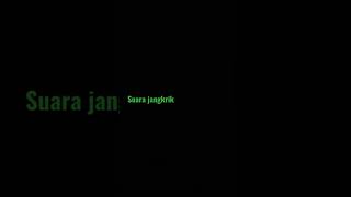 Download Lagu suara jangkrik MP3 Download Lagu suara jangkrik MP3