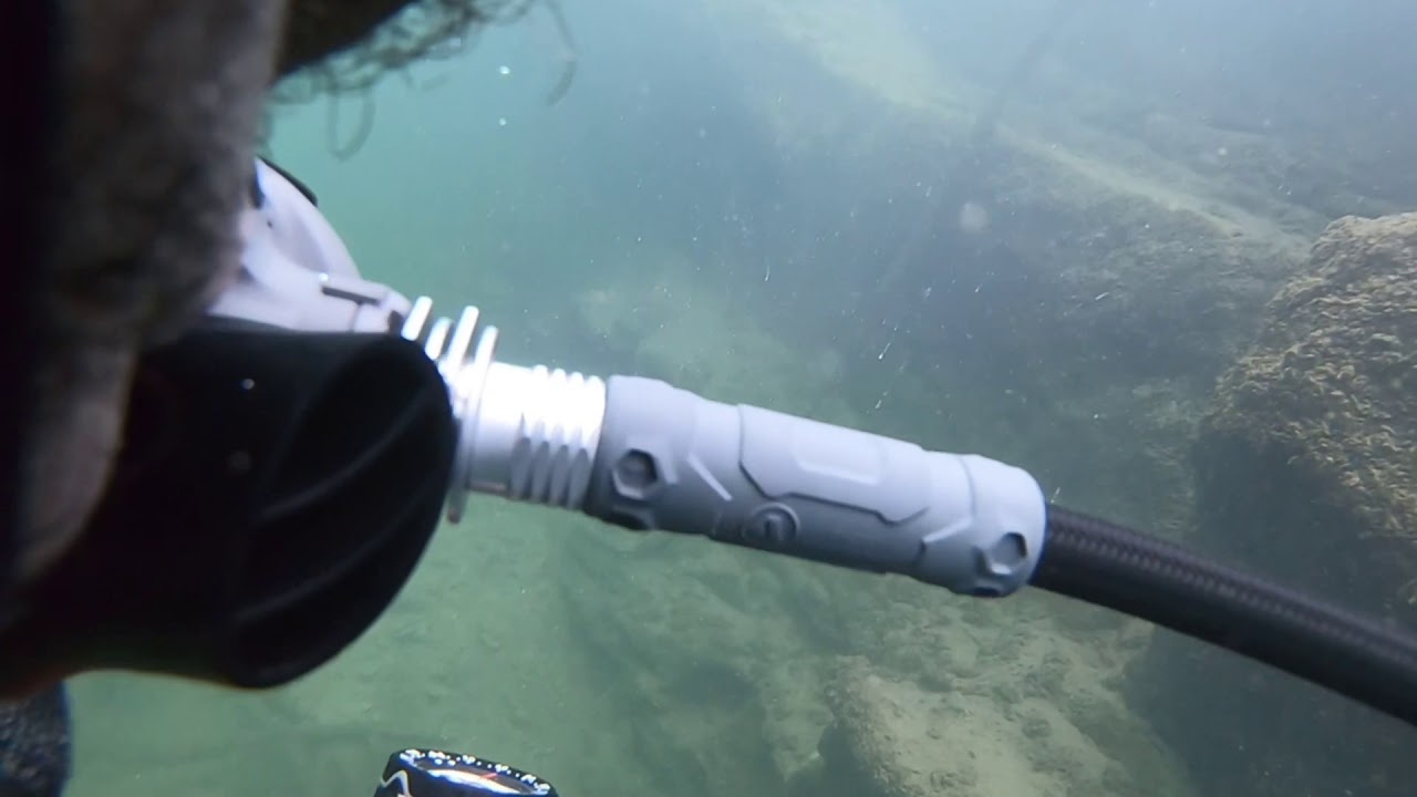 Lake Travis Cypress Wall Dive