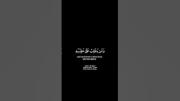 وما محمد إلا رسول شاشة سوداء | كرومات قرآن كريم بصوت #ماهر_المعيقلي | #سورة_آل_عمران