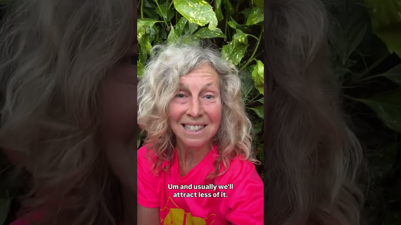 STAND IN YOUR LIGHT 💡 