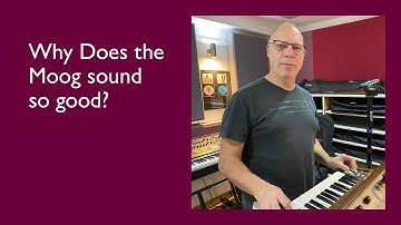 The Timeless Masterpiece That Is The Minimoog Model D