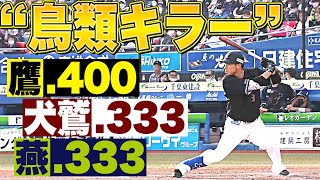 【鳥類キラー】角中勝也『犬鷲 .333　鷹 .400　燕 .333』