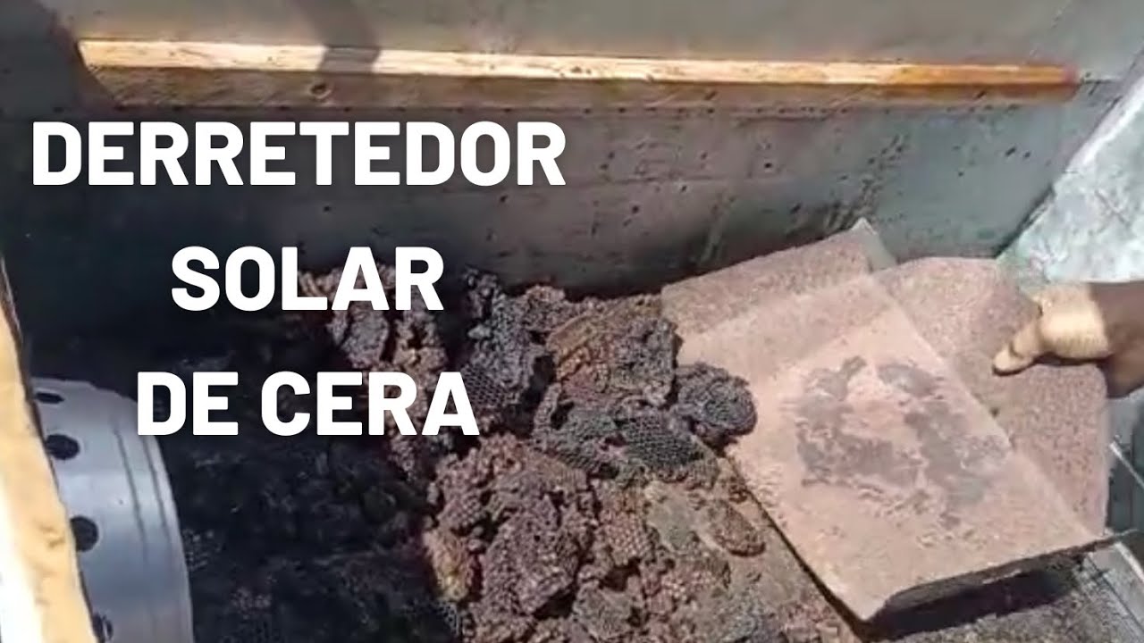 MANEJO DE INVERNO: DERRETEDOR SOLAR DE CERA Ep. 4