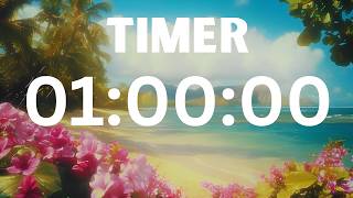 1 Hour Aesthetic Summer Tropical Beach Timer