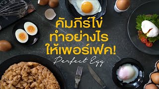 Perfect Egg คัมภีร์ไข่ ทำอย่างไรให้เพอร์เฟค!