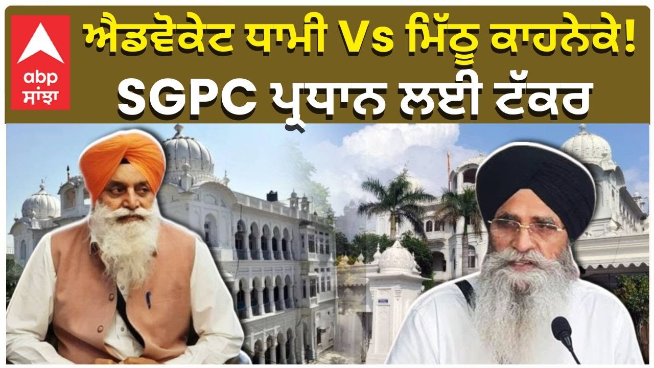 SGPC Election For President | ਐਡਵੋਕੇਟ ਧਾਮੀ Vs ਮਿੱਠੂ ਕਾਹਨੇਕੇ! SGPC ਪ੍ਰਧਾਨ ਲਈ ਟੱਕਰ | Abp Sanjha