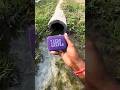 JBL Speaker Underwater Sound Test