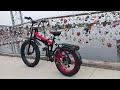 26 Inch Front Tire/ 20 Inch Rear Tire Custom E-Bike