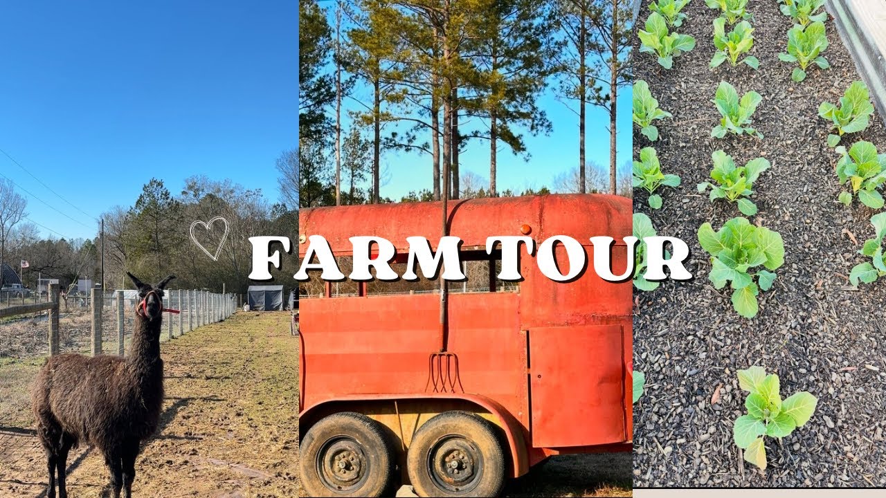 Best Farm to Table Culinary Event 🌱 - YouTube