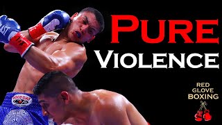 The VIOLENT Path of Vergil Ortiz Jr | Highlights and Knockouts 2022