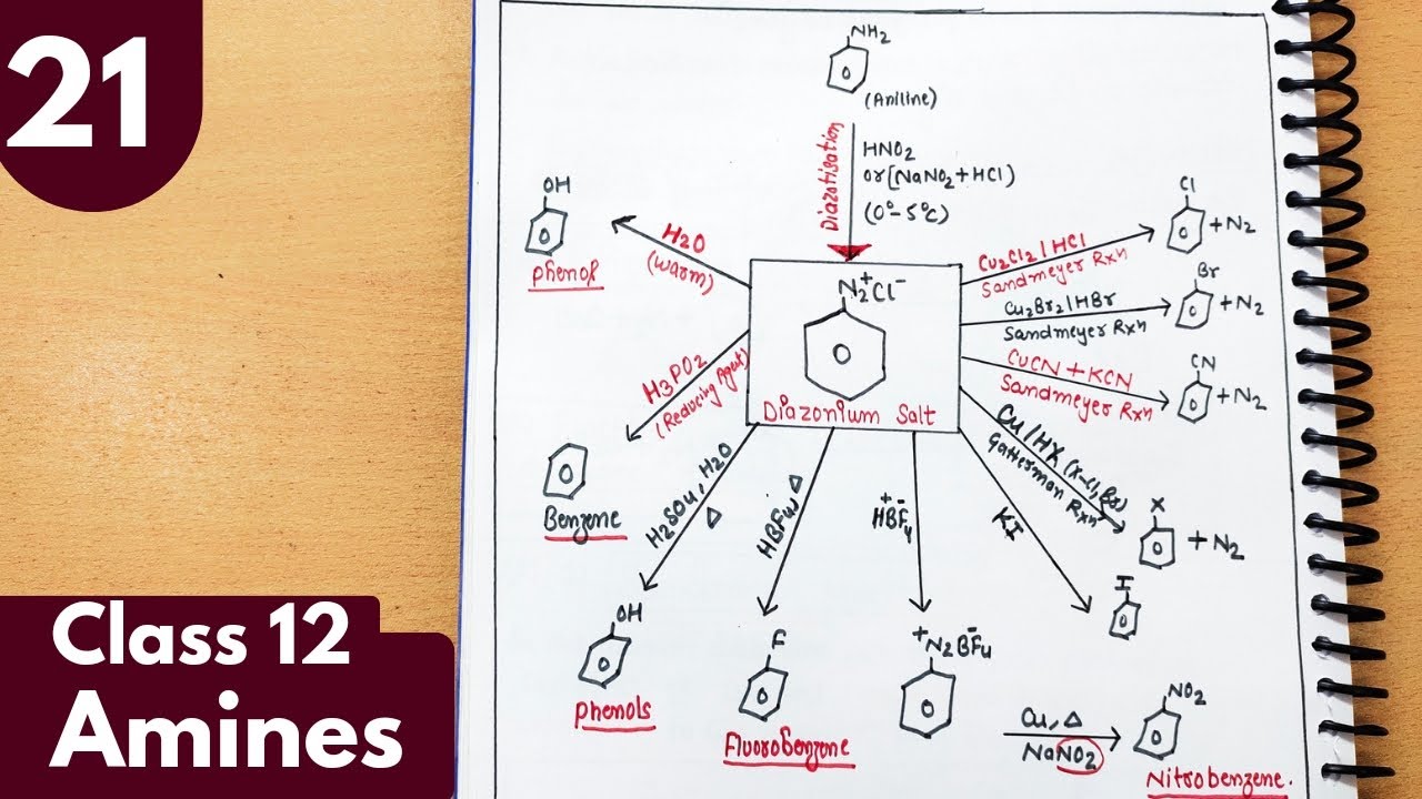 21) Complete reactions of Diazonium salt| Amines Class12 Chemistry #neet #jee #iitjee