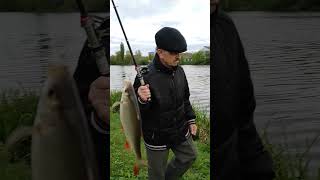 Красивая Рыбка Супер Рыбалка 🐟 На Озере В Виннице 👍 Украина 🇺🇦💖 Вишенский Парк Дружбы 🌼🦢 Круто 💥👍Топ