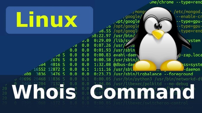 How to use the whois command on Ubuntu Linux - GeeksforGeeks