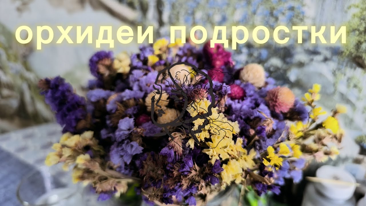 Орхидеи подростки. 27.02.2026.