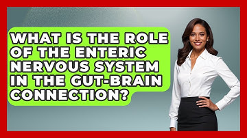 What Is the Role of the Enteric Nervous System in the Gut-Brain Connection?