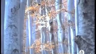 Recorridos en todoterreno para disfrutar de los paisajes otoñales