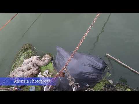 Il Tevere a Ponte Marconi sabato 6 Agosto 2022