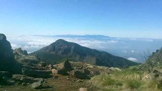 浅間山トレイルラン