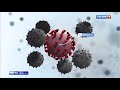 Дмитрий Морозов о препарате левилимаб при коронавирусе на телеканале "Россия-1"