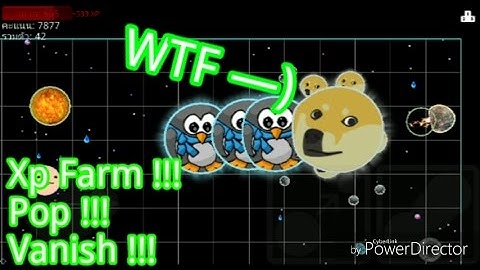 Nebulous ไทย - XP FARM,POPSPLIT,VANISHSPLIT