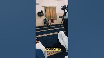 Surah AD-DUHA سورة الضحى #egzonibrahimi#quran #shortvideo