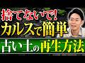 古い土は捨てないで！消毒なしで新品以上に進化させる最強の土再生法【家庭菜園 ガーデニング 土づくり 土壌改良】