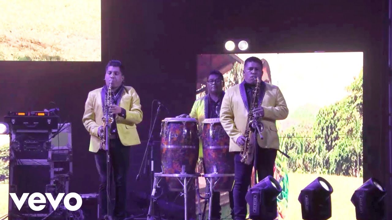 Los Siete Latinos - La Rubia (En Vivo Yucatán)