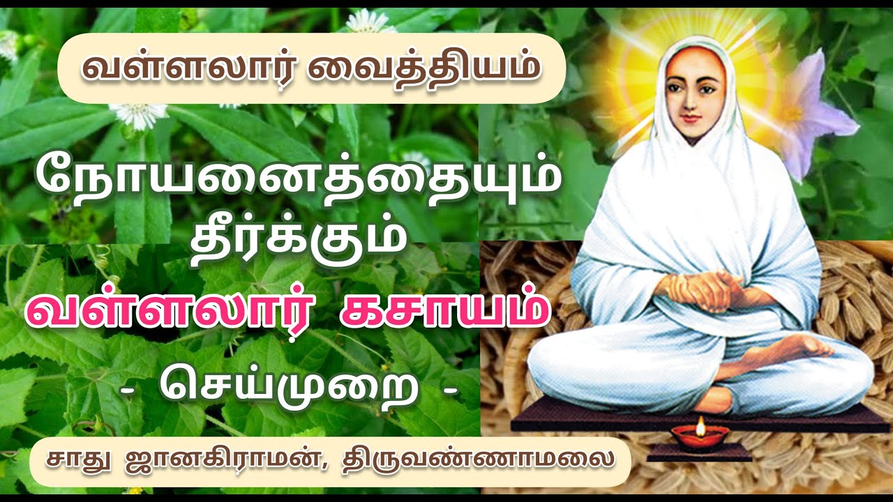 வள்ளலார் கரிசாலை கசாயம் தயாரிக்கும் முறை | Vallalar vaithiyam | Karisalai Herbal tea preparation