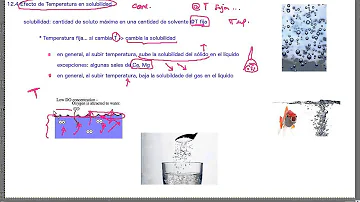 ¿Cómo afecta la temperatura a la solubilidad quizlet?