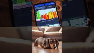 yanic Pito Funk slowed Tiktok Version