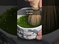 How Much Matcha Should You Use Shorts How Much Matcha Should You Use Shorts