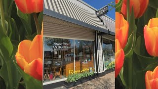 Downtown Holland is open for business