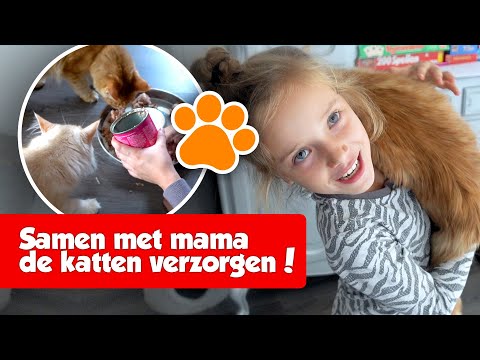 Video: Voet-/teenkanker Bij Katten