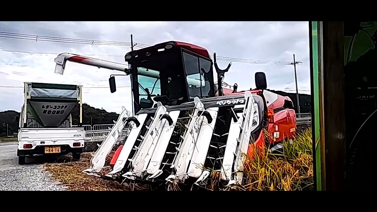 15 de fevereiro de 2026