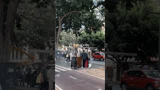 Málaga en el día a día #말라가 #málaga #dailyshorts #spain