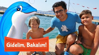 Dolpfin Aqua park'ta yunuslarla yüzüyoruz. Gidelim, bakalım