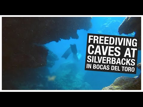 10 Reasons Bocas del Toro Should be on your Travel Bucket List 10 Reasons Bocas del Toro Should be on your Travel Bucket List